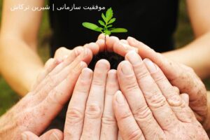موفقیت سازمانی